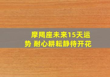 摩羯座未来15天运势 耐心耕耘静待开花